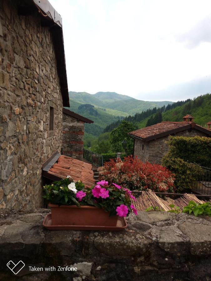Agriturismo Ristoro Del Cavaliere Villa Piazza al Serchio Exterior photo