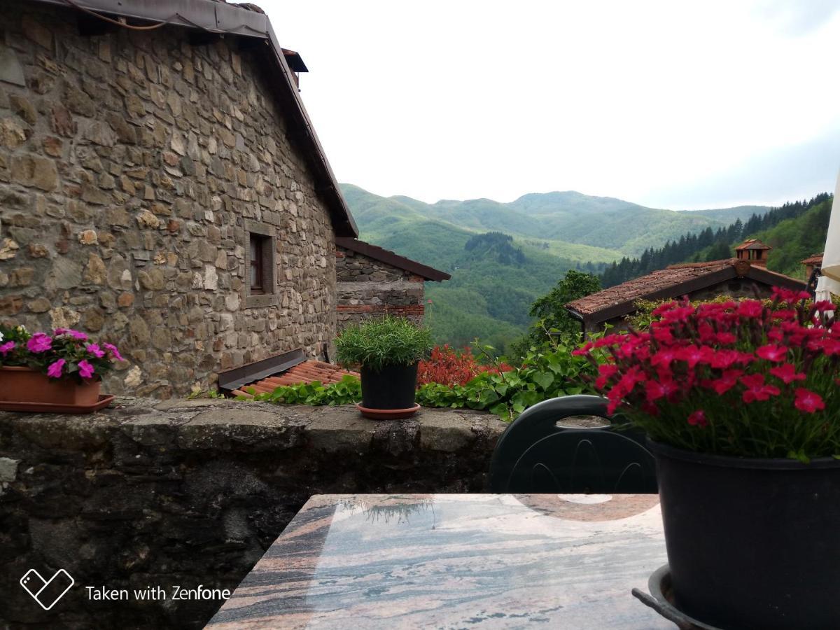 Agriturismo Ristoro Del Cavaliere Villa Piazza al Serchio Exterior photo