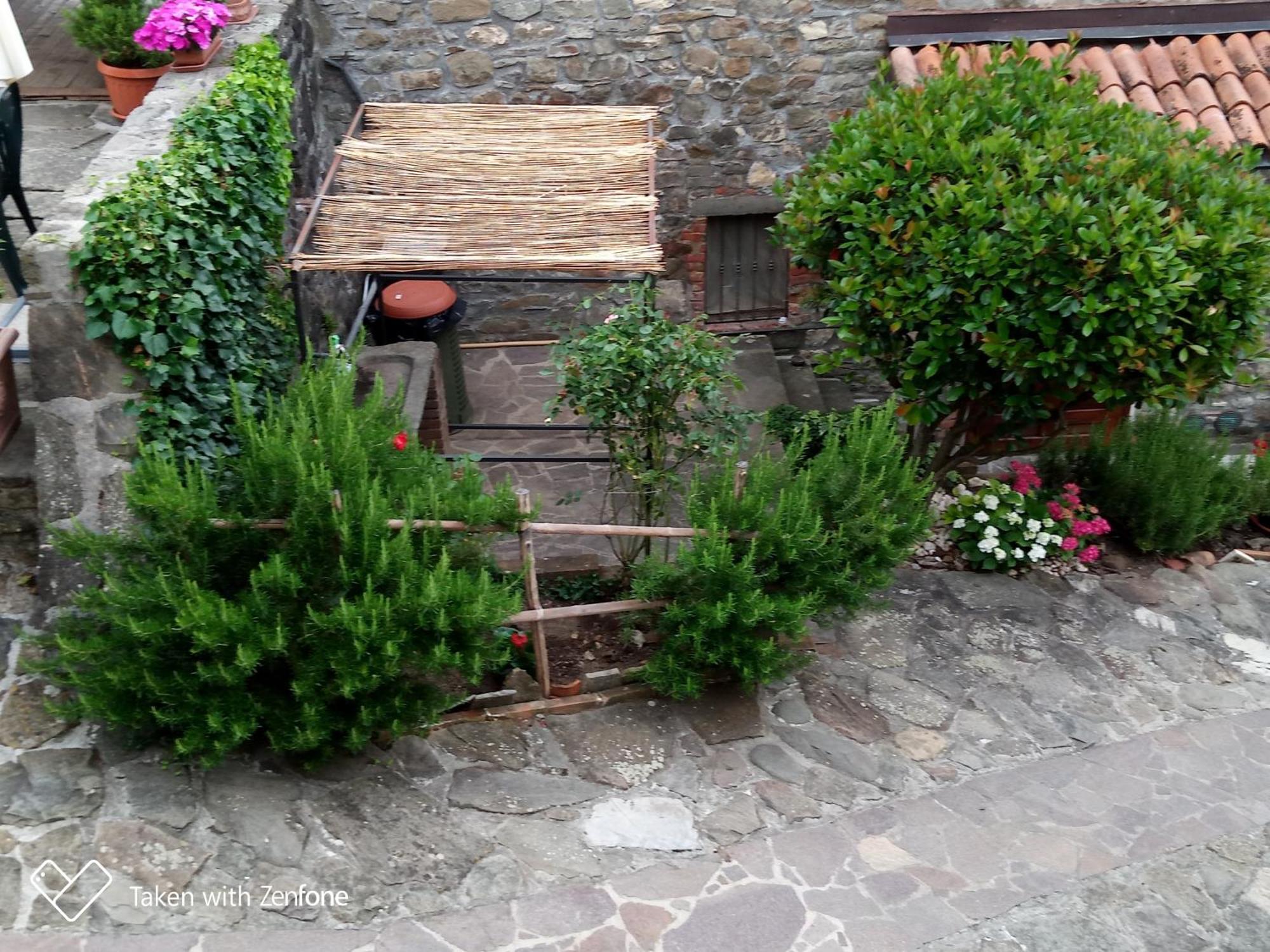 Agriturismo Ristoro Del Cavaliere Villa Piazza al Serchio Exterior photo