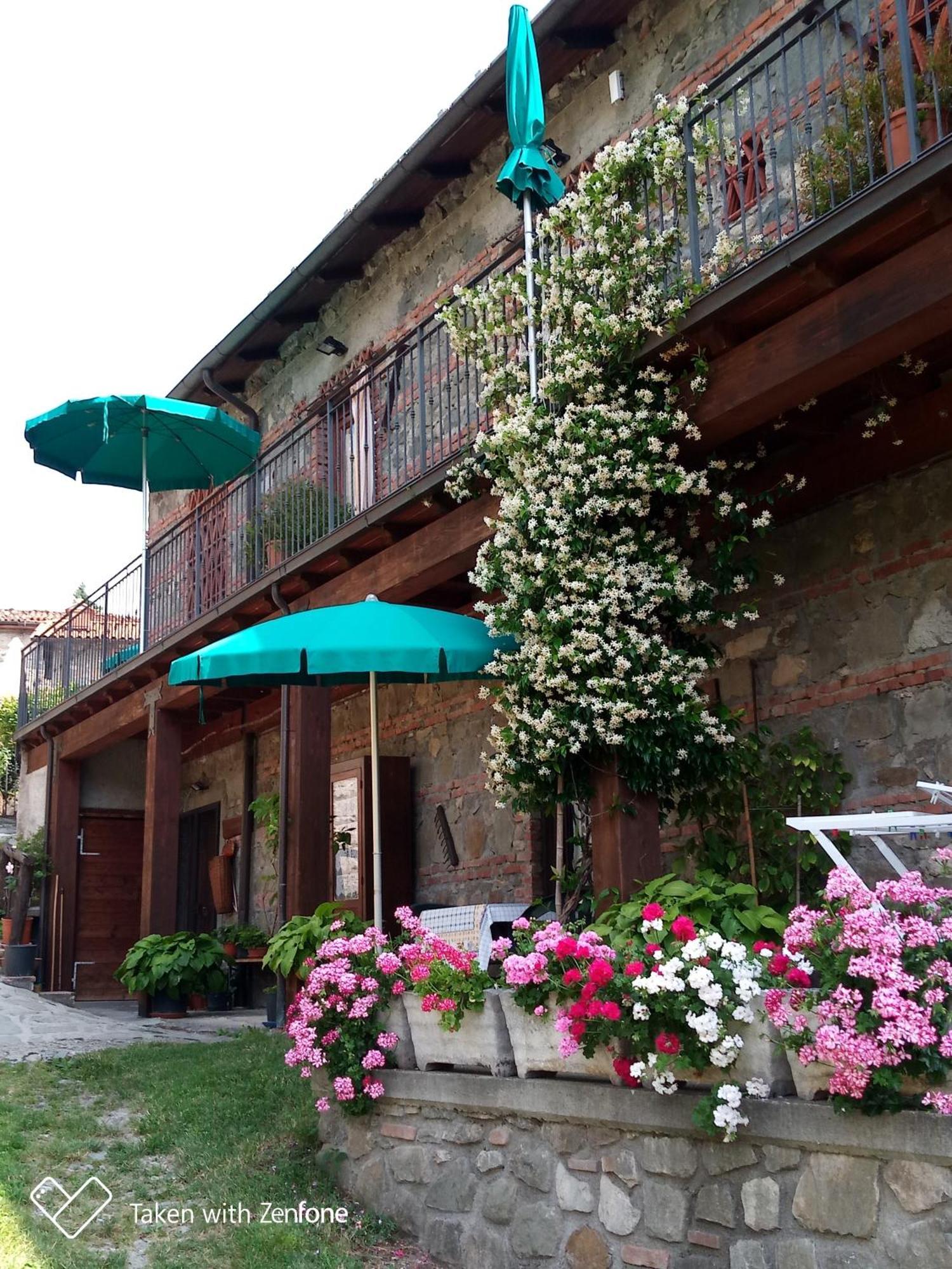 Agriturismo Ristoro Del Cavaliere Villa Piazza al Serchio Exterior photo