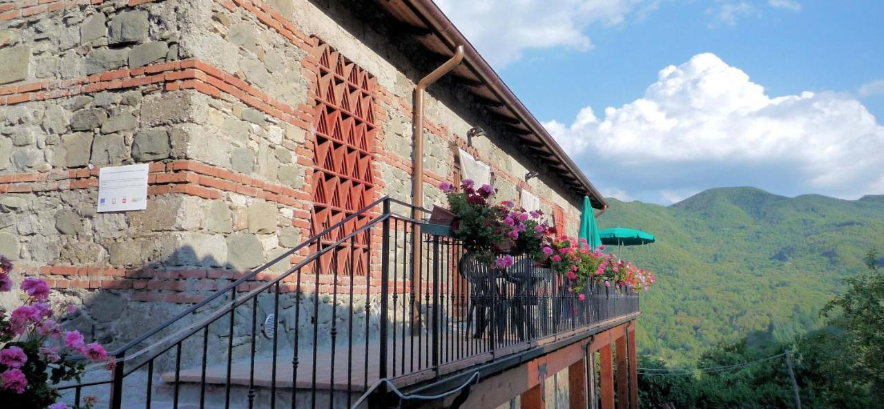 Agriturismo Ristoro Del Cavaliere Villa Piazza al Serchio Exterior photo