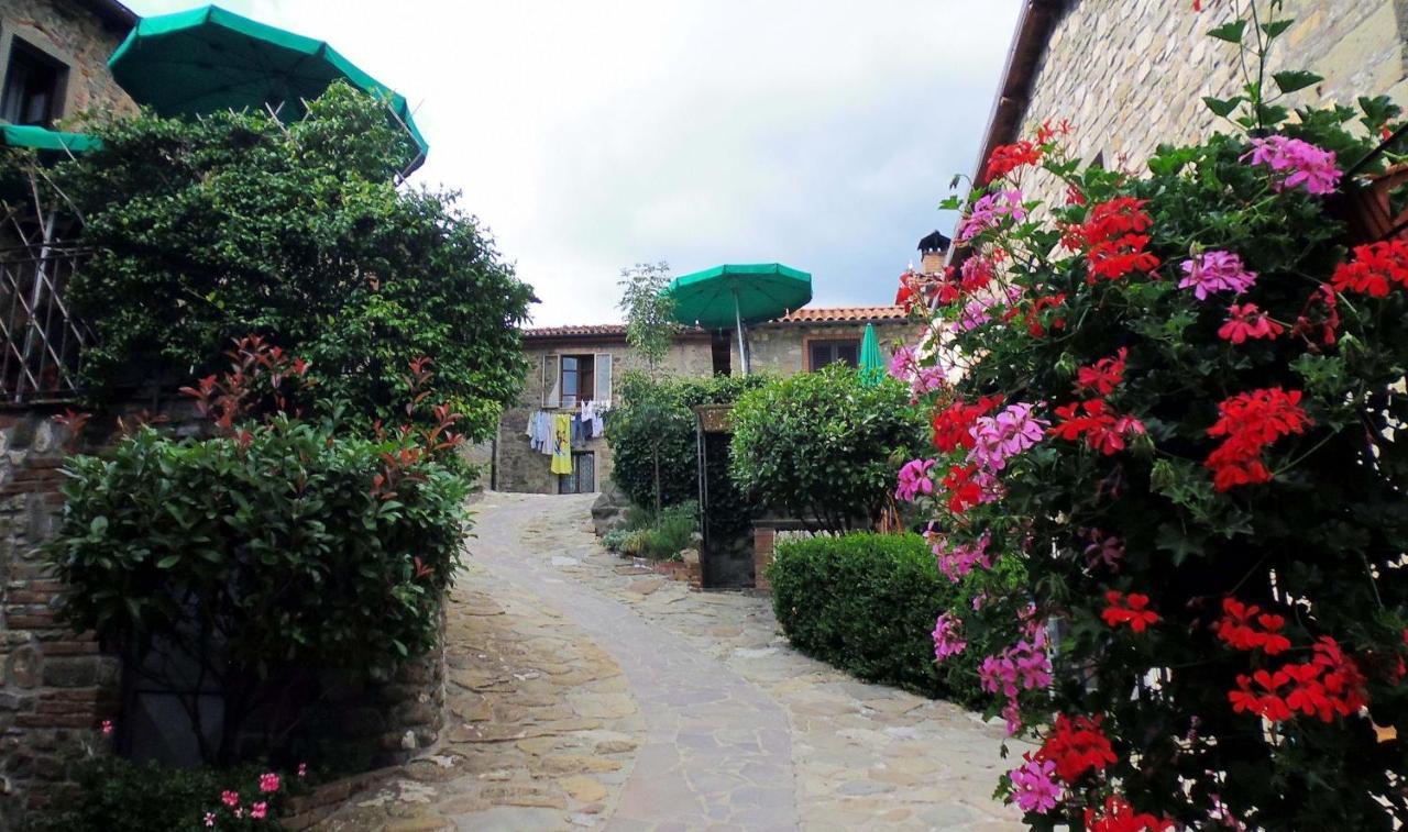 Agriturismo Ristoro Del Cavaliere Villa Piazza al Serchio Exterior photo